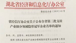 hth-华体会（中国）官方网站_hth.com
被认定为“湖北省支柱产业细分领域隐形冠军示范企业”